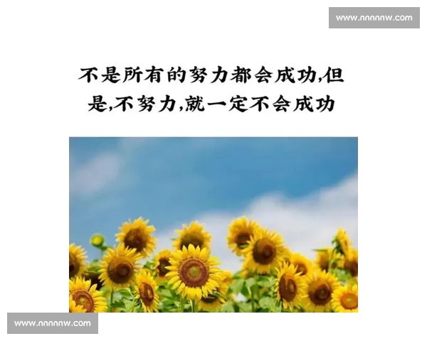 绝不轻易倒下：在逆境中坚持到底，勇敢面对挑战的力量与智慧